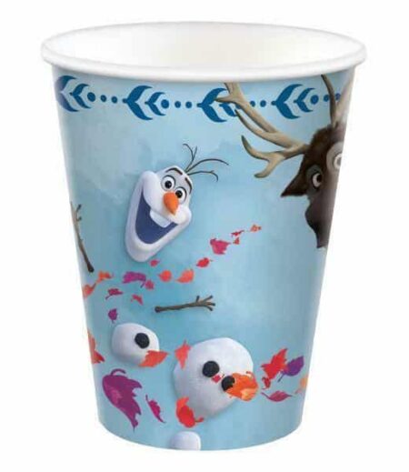 Disney Frozen 2 Deluxe Birthday Party Package for 8 Guests