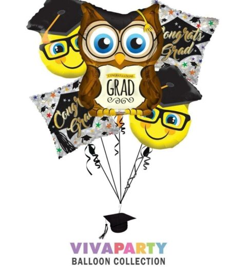 Owl Grad, Smiley with grad cap Graduation Balloon Bouquet (5 Balloons) – Viva Party