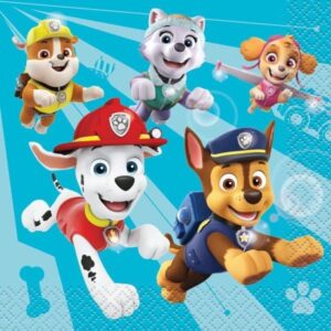 Paw Patrol Deluxe Birthday Party Package for 8 Guests