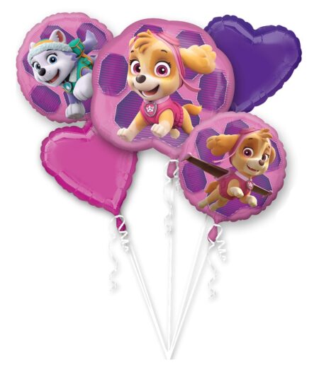 Paw Patrol - Skye & Everest Foil Bouquet of Balloons - 5pcs – Viva Party