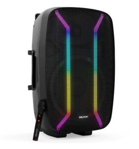 Thunderous 15" Party Speaker with Mesmerizing LED Lights – Viva Party