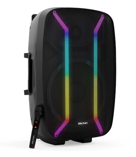 Thunderous 15" Party Speaker with Mesmerizing LED Lights – Viva Party