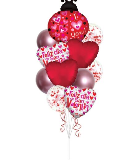 I Love You Lady Bug Feliz Dia de San Valentine's Day Balloon Bouquet - Viva Party (11 Balloons) – Viva Party