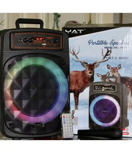 YAT YM8024 Bluetooth Wireless Speaker 8800w P.M.P.O 8” Woofer Karaoke FM – Viva Party