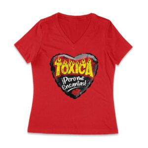 Funny Valentine's Day T-Shirt
