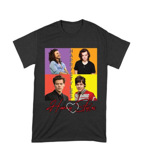 Retro Pop Color Blocks Hary-Styls Graphic T-Shirt for Music Lovers Unisex Toddler – Viva Party