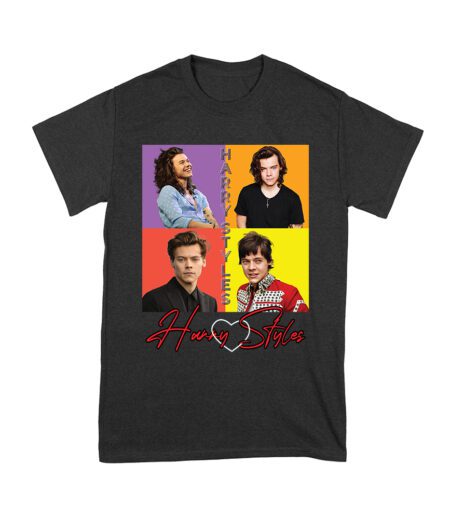 Retro Pop Color Blocks Hary-Styls Graphic T-Shirt for Music Lovers Unisex Youth – Viva Party