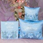 Light Blue Quinceanera pillows set and Photo Album